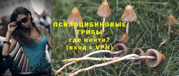 спиды Алексеевка