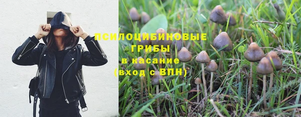 a pvp Алексин