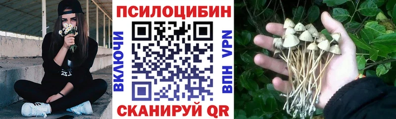 Псилоцибиновые грибы прущие грибы  кракен ССЫЛКА  Брянск 